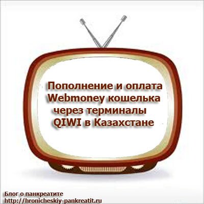 Пополнение и оплата вебмани через терминал киви в Казахстане